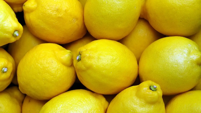 limon limon