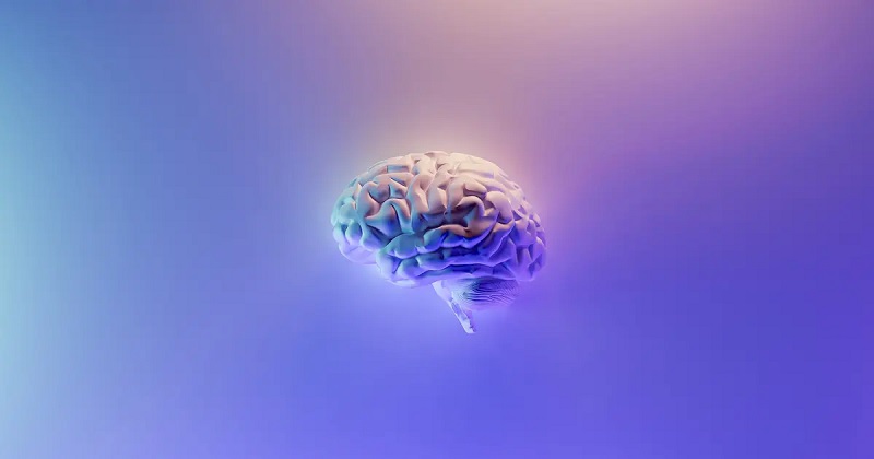 cortisol elevado cortisol elevado