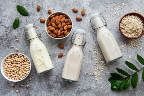 tipos de leche vegetal