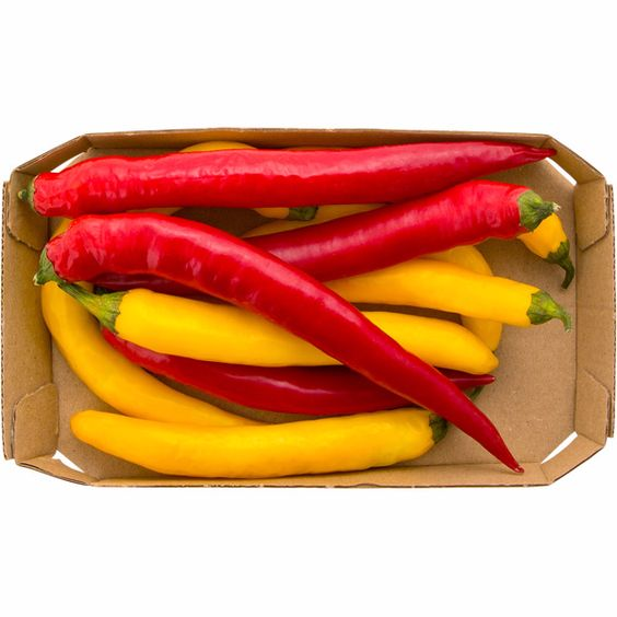 La capsaicina, componente activo de los pimientos picantes, ha sido estudiada en muchos estudios sobre termogénesis