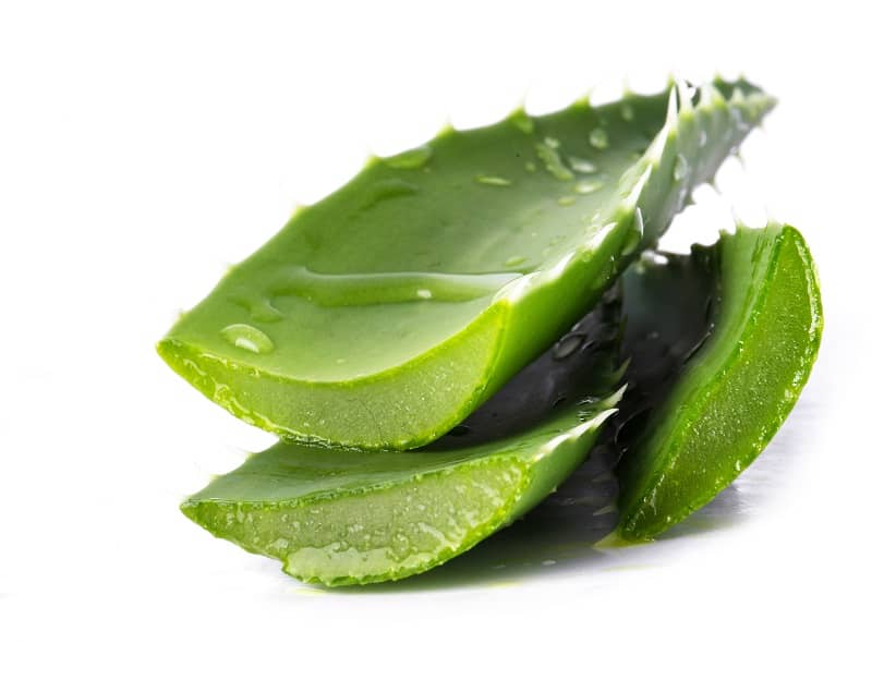 aloe vera - ayuno