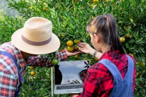 Agricultura y Ganadería Ecológicas y Regenerativas