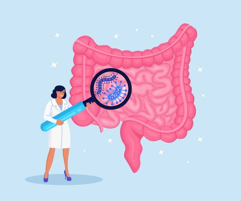 maneras de prevenir el sibo - Sobrecrecimiento Bacteriano Intestinal